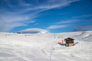 wycieczka w zimie